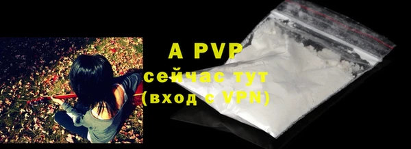 ГАЛЛЮЦИНОГЕННЫЕ ГРИБЫ Бородино