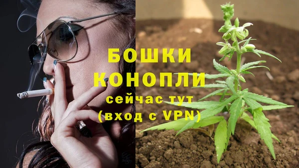 гидропоника Бугульма