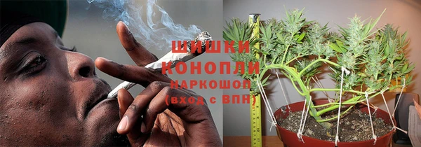 СК Богородицк