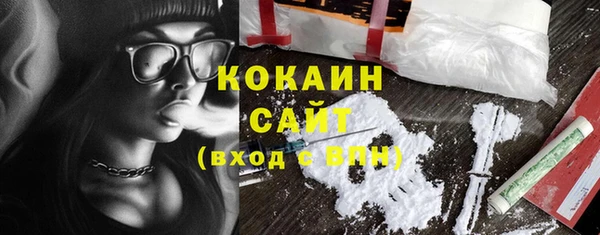ГАЛЛЮЦИНОГЕННЫЕ ГРИБЫ Бородино