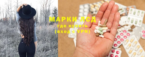 ГАЛЛЮЦИНОГЕННЫЕ ГРИБЫ Бородино